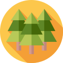 bosque icon