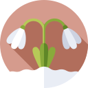 campanilla de febrero icon