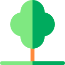 Árbol