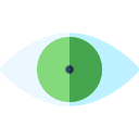 visión icon