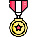 insignia icon