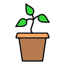 planta icon