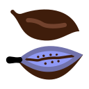 cardamomo icon