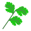 cilantro icon