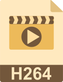 h264 icon