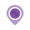 violeta icon