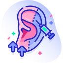 oreille