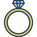 anillo icon