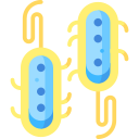 bacterias icon