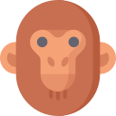 zoología icon