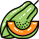 papaya icon