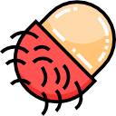 rambután icon