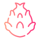 pitaya icon