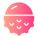 lychee icon