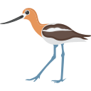 pájaro icon