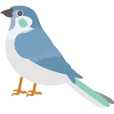 pájaro icon