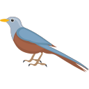 pájaro icon