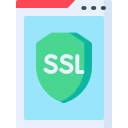 ssl icon