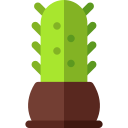 cactus icon