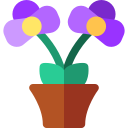 orquídea icon