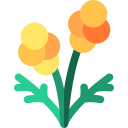 mimosa icon