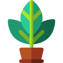 aglaonema icon