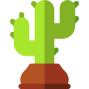 cactus icon