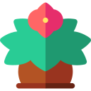 Begonia icon