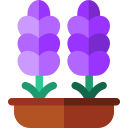 lavanda icon