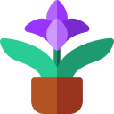 bromelia icon