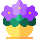 violeta icon