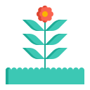 flora icon