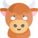 Yak 