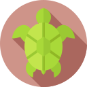 tortuga icon