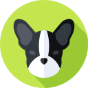 perro icon