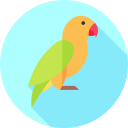 pájaro icon