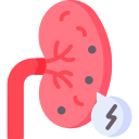 Kidney stone 