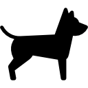 cão icon
