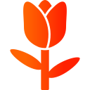 tulipán icon