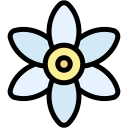 jasmin 