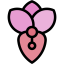 orchidée 