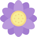 aster icon