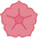 petunia icon