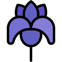 iris icon