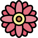 gerbera icon