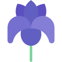 iris icon