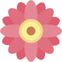 gerbera icon