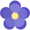 violeta icon