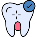 molar icon