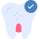 molar icon